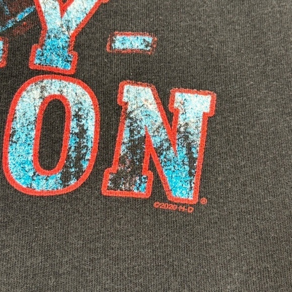 Harley Davidson Shirt Mens Large Crewneck Eagle 2020 Stars Motorcycles HD Riding - Picture 4 of 6